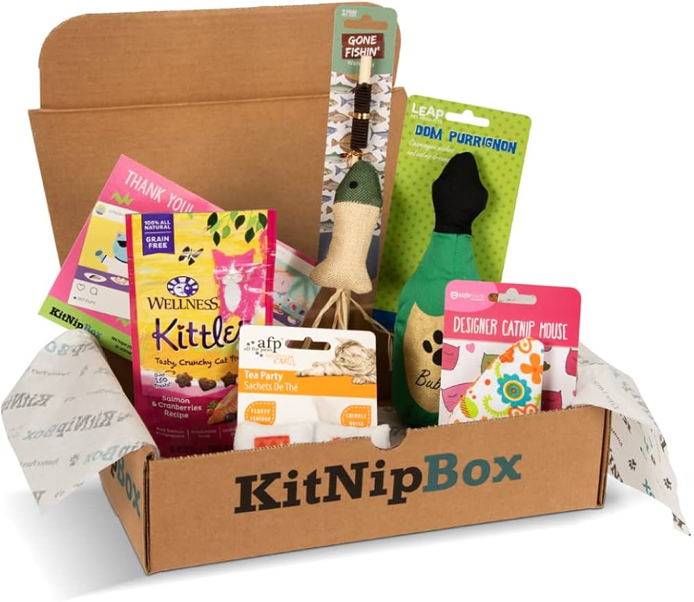 Top subscription boxes - KitNipBox