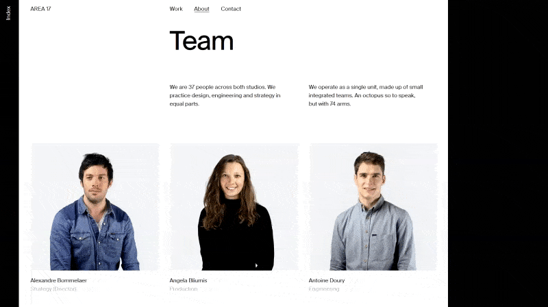 area 17 best website team page