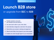 launch b2b store