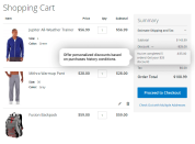 the example of a personalized promotion based on a customer's purchases history