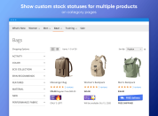 display various custom stock statuses on category pages