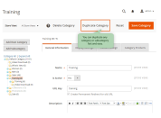 how to start categories duplication