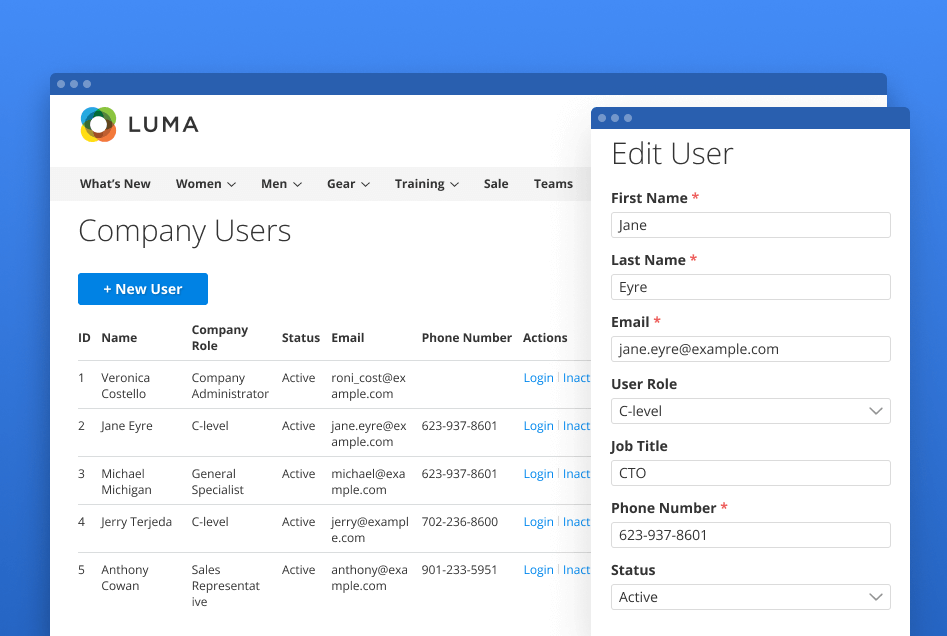 company users management