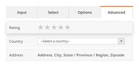 custom-form-for-magento-2-advanced-options