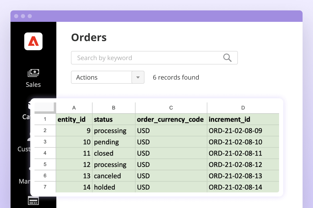 import-and-export-premium-description-2